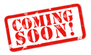 12x20 Elite Garden Shed w/Dormer #2697-image